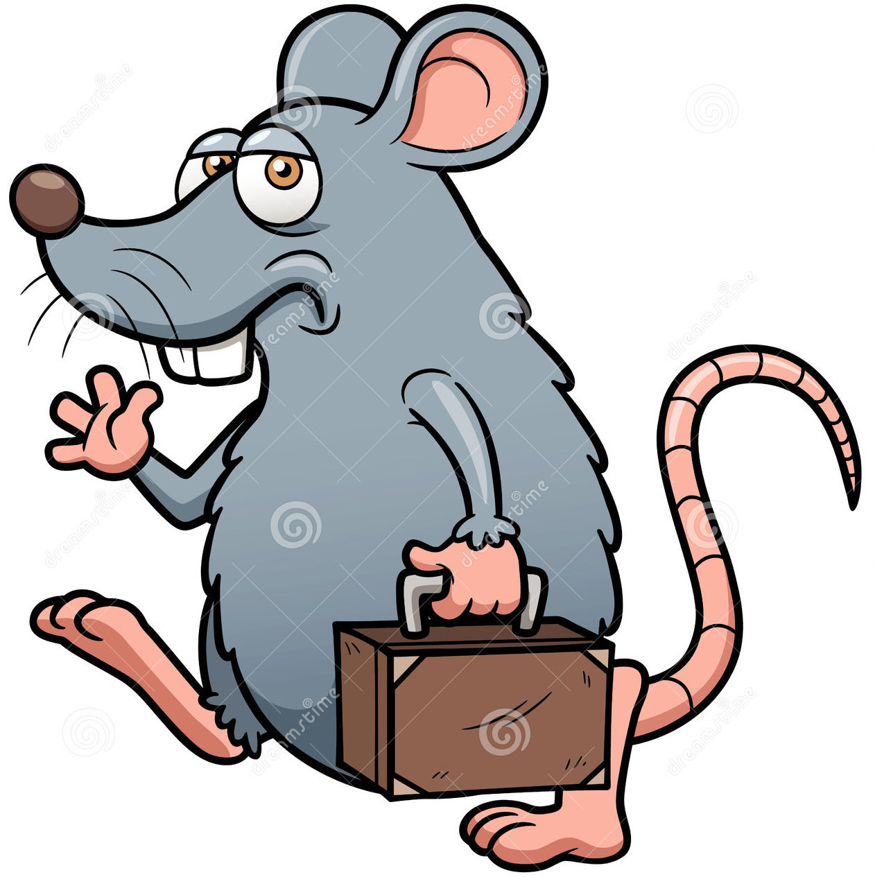 Okete - Giant Rat